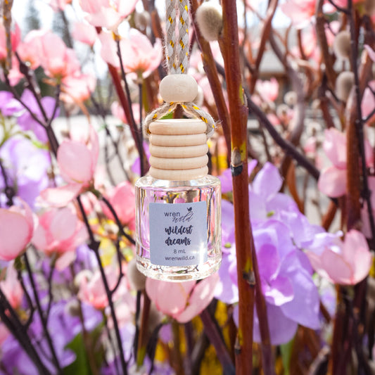 Wildest Dreams | Air Fresheners